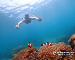 Underwater Odyssey snorkeling excursion in Pattaya Thailand photo 1020