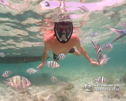 Underwater Odyssey snorkeling tour from Pattaya Thailand photo 18289