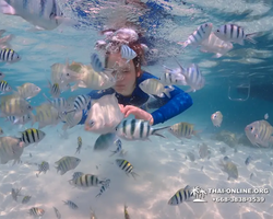 Underwater Odyssey snorkeling excursion in Pattaya Thailand photo 709