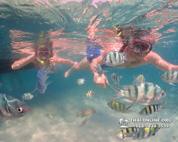 Underwater Odyssey snorkeling excursion Pattaya Thailand photo 11568