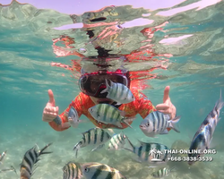 Underwater Odyssey snorkeling excursion Pattaya Thailand photo 14756