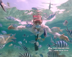 Underwater Odyssey snorkeling tour from Pattaya Thailand photo 18285