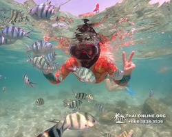 Underwater Odyssey snorkeling excursion Pattaya Thailand photo 14779