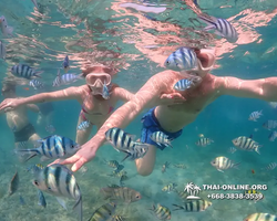 Underwater Odyssey snorkeling excursion Pattaya Thailand photo 11531