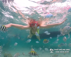 Underwater Odyssey snorkeling excursion in Pattaya Thailand photo 6