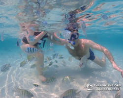 Underwater Odyssey snorkeling excursion in Pattaya Thailand photo 952