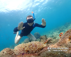 Underwater Odyssey snorkeling excursion Pattaya Thailand photo 11381