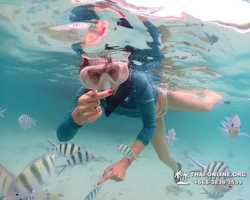 Underwater Odyssey snorkeling excursion in Pattaya Thailand photo 181