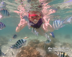 Underwater Odyssey snorkeling excursion Pattaya Thailand photo 19212