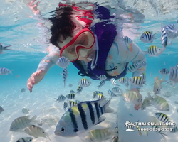 Underwater Odyssey snorkeling excursion in Pattaya Thailand photo 672