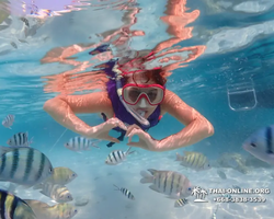 Underwater Odyssey snorkeling excursion in Pattaya Thailand photo 917