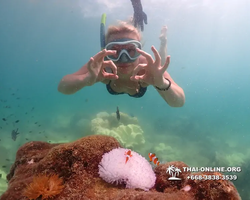 Underwater Odyssey snorkeling excursion Pattaya Thailand photo 19506