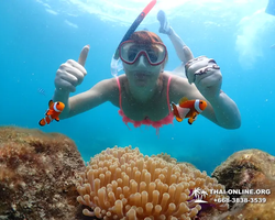 Underwater Odyssey snorkeling excursion in Pattaya Thailand photo 619