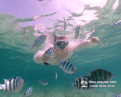 Underwater Odyssey snorkeling tour from Pattaya Thailand photo 18440