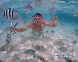 Underwater Odyssey snorkeling excursion in Pattaya Thailand photo 953