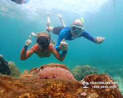 Underwater Odyssey snorkeling excursion Pattaya Thailand photo 14891