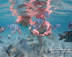 Underwater Odyssey snorkeling excursion in Pattaya Thailand photo 404