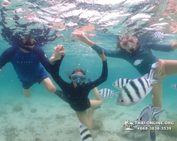 Underwater Odyssey snorkeling excursion in Pattaya Thailand photo 7