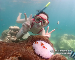 Underwater Odyssey snorkeling excursion Pattaya Thailand photo 19310