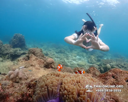 Underwater Odyssey snorkeling excursion Pattaya Thailand photo 11402