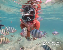 Underwater Odyssey snorkeling tour from Pattaya Thailand photo 14398