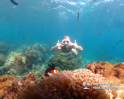 Underwater Odyssey snorkeling tour from Pattaya Thailand photo 14328