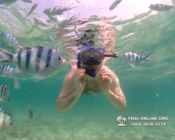 Underwater Odyssey snorkeling tour from Pattaya Thailand photo 18450