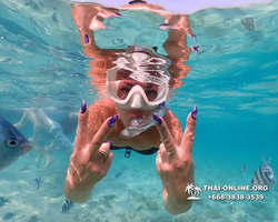 Underwater Odyssey snorkeling excursion Pattaya Thailand photo 10976