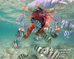 Underwater Odyssey snorkeling excursion Pattaya Thailand photo 14902