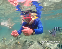 Underwater Odyssey snorkeling excursion Pattaya Thailand photo 14863