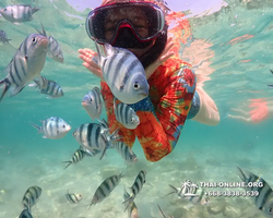 Underwater Odyssey snorkeling excursion Pattaya Thailand photo 14836