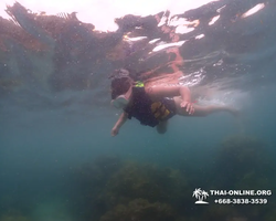 Underwater Odyssey snorkeling excursion in Pattaya Thailand photo 325