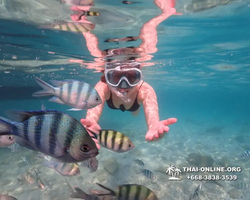 Underwater Odyssey snorkeling tour from Pattaya Thailand photo 14455