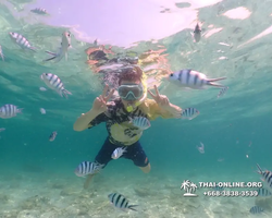 Underwater Odyssey snorkeling tour from Pattaya Thailand photo 18713