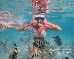 Underwater Odyssey snorkeling tour from Pattaya Thailand photo 14273