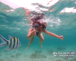 Underwater Odyssey snorkeling excursion in Pattaya Thailand photo 113