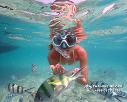 Underwater Odyssey snorkeling excursion Pattaya Thailand photo 14202