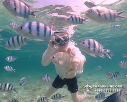 Underwater Odyssey snorkeling tour from Pattaya Thailand photo 18286