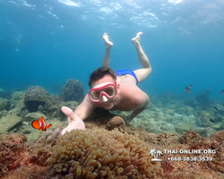 Underwater Odyssey snorkeling excursion Pattaya Thailand photo 11424