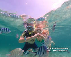 Underwater Odyssey snorkeling tour from Pattaya Thailand photo 18678