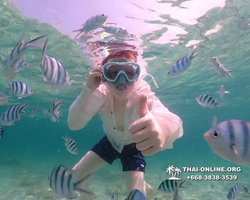 Underwater Odyssey snorkeling tour from Pattaya Thailand photo 18376