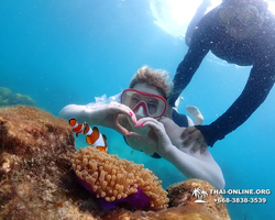 Underwater Odyssey snorkeling excursion in Pattaya Thailand photo 611