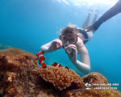 Underwater Odyssey snorkeling excursion in Pattaya Thailand photo 787