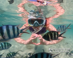 Underwater Odyssey snorkeling excursion Pattaya Thailand photo 19139