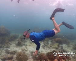 Underwater Odyssey snorkeling excursion in Pattaya Thailand photo 292