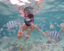 Underwater Odyssey snorkeling excursion in Pattaya Thailand photo 43