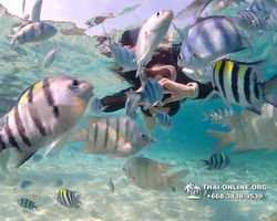 Underwater Odyssey snorkeling excursion Pattaya Thailand photo 11209
