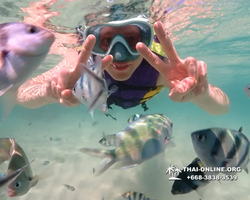 Underwater Odyssey snorkeling excursion Pattaya Thailand photo 19481