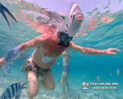 Underwater Odyssey snorkeling excursion Pattaya Thailand photo 11076
