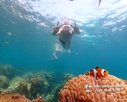 Underwater Odyssey snorkeling tour from Pattaya Thailand photo 14464